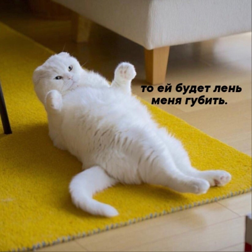       - 25  2025  11:20 - 3