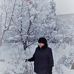 ���� ���������, ��������� - ��������� 11 ������ 2024