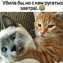  , , 70  -  10  2025    