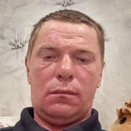 ����, ����, 43 ����