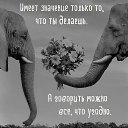 ���� �������, ������, 60 ��� - ��������� 3 ������� 2026 � ������ ������ ��������