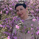 ���� �����, �������, 53 ���� - ��������� 6 ��� 2024 � ������ ���� ����������