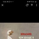 ���� �����, ������ - ��������� 22 ��� 2026