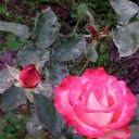 ���� �������, ������, 62 ���� - ��������� 9 ������ 2023 � ������ ���� ����������