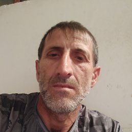 , 43, 