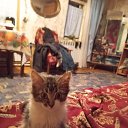 ���� ������, �������, 61 ��� - ��������� 12 ������� 2024 � ������ ���� ����������