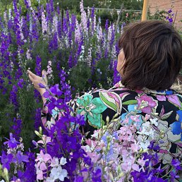 ���� �������, ������-��-����, 48 ��� - ��������� 3 ���� 2025