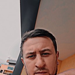 , 31, 
