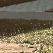 �����, 21 ���, ����