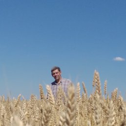 �����, �������, 58 ���