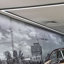 ����, ���������, 44 ����