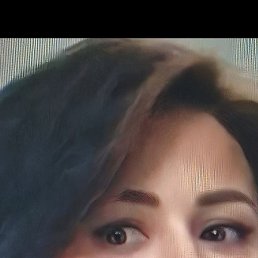 �����, ���������, 39 ���