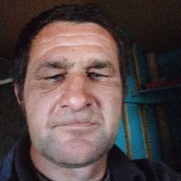 �������, ���������, 46 ���