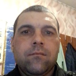 ������, �������, 37 ���