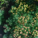 ���� ��������, ������ - ��������� 8 ���� 2026 � ������ �������