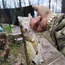 ���� �������, ���������, 49 ��� - ��������� 31 ����� 2026 � ������ ���� ����������