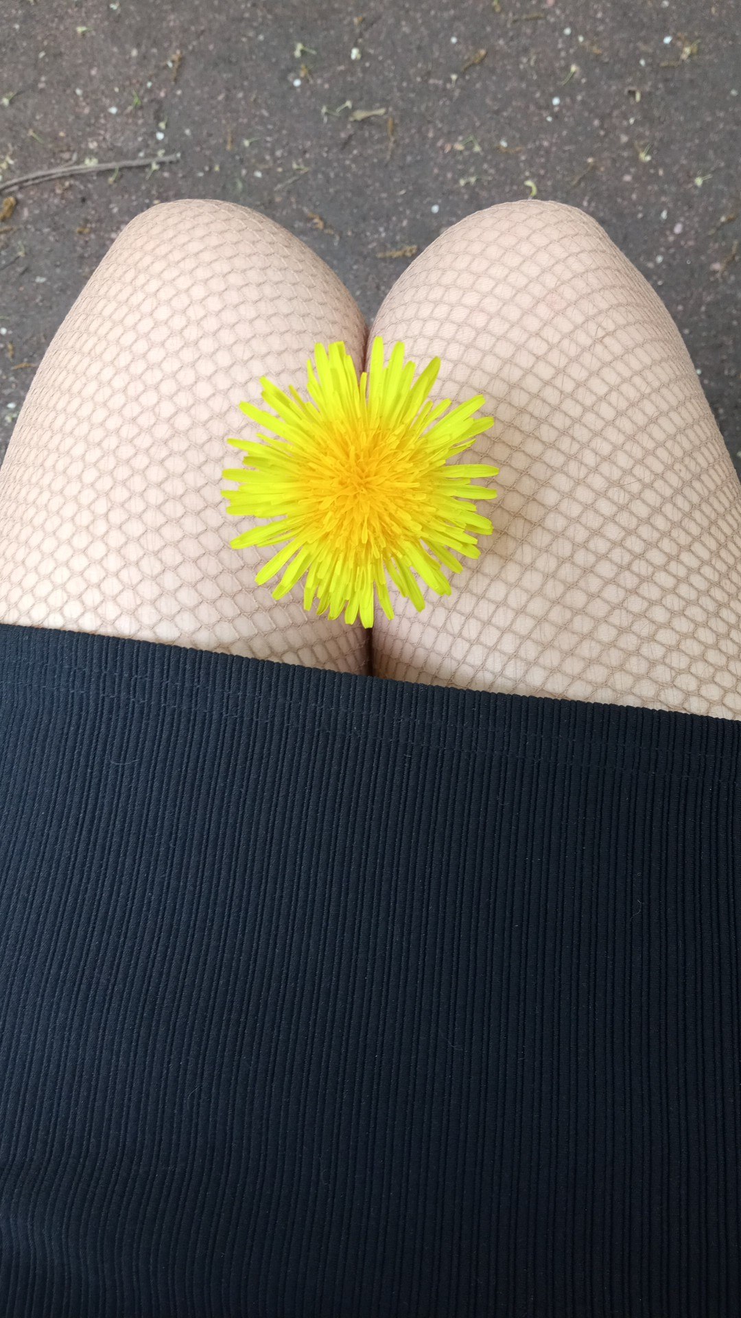    Zvezdanebes - 29  2025  20:23 - 3