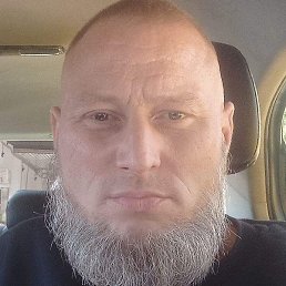 ����, ������, 41 ���