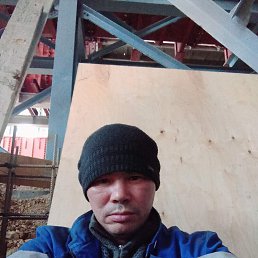 ���� ����, �����������, 43 ���� - ��������� 5 ������ 2026