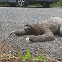 ���� ������, ������ - ��������� 27 ������ 2025 � ������ ������ ��������