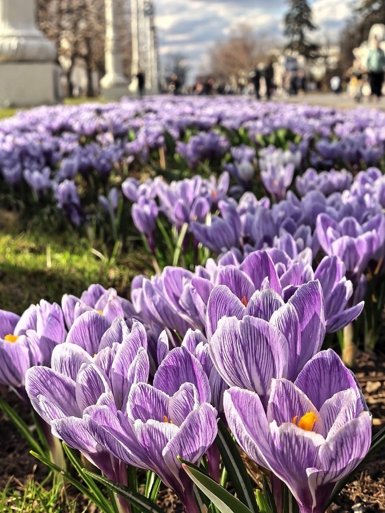 ����.����: ����� ������� - 2