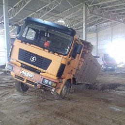 ������ �������, ������, 46 ���