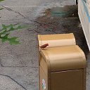 ���� Alex, ������ - ��������� 10 ������� 2024