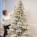 ���� ������, ������������� - ��������� 12 ������ 2026 � ������ ���� ����������