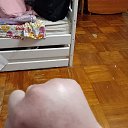   , , 37  -  19  2025    