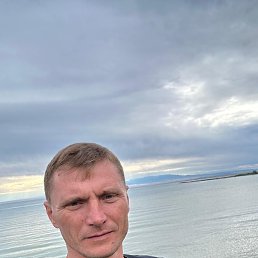 , 41, 