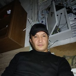 , 37, 