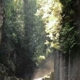 �����, ������, 20 ���