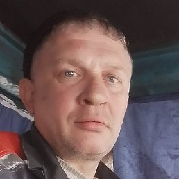 �����, ����������, 41 ���