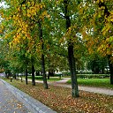  Gina Smirnova, -, 46  -  6  2025    