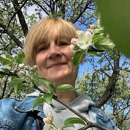 �����, ������, 62 ����