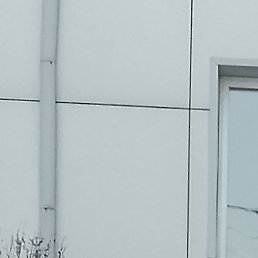 ������, ����, 50 ���