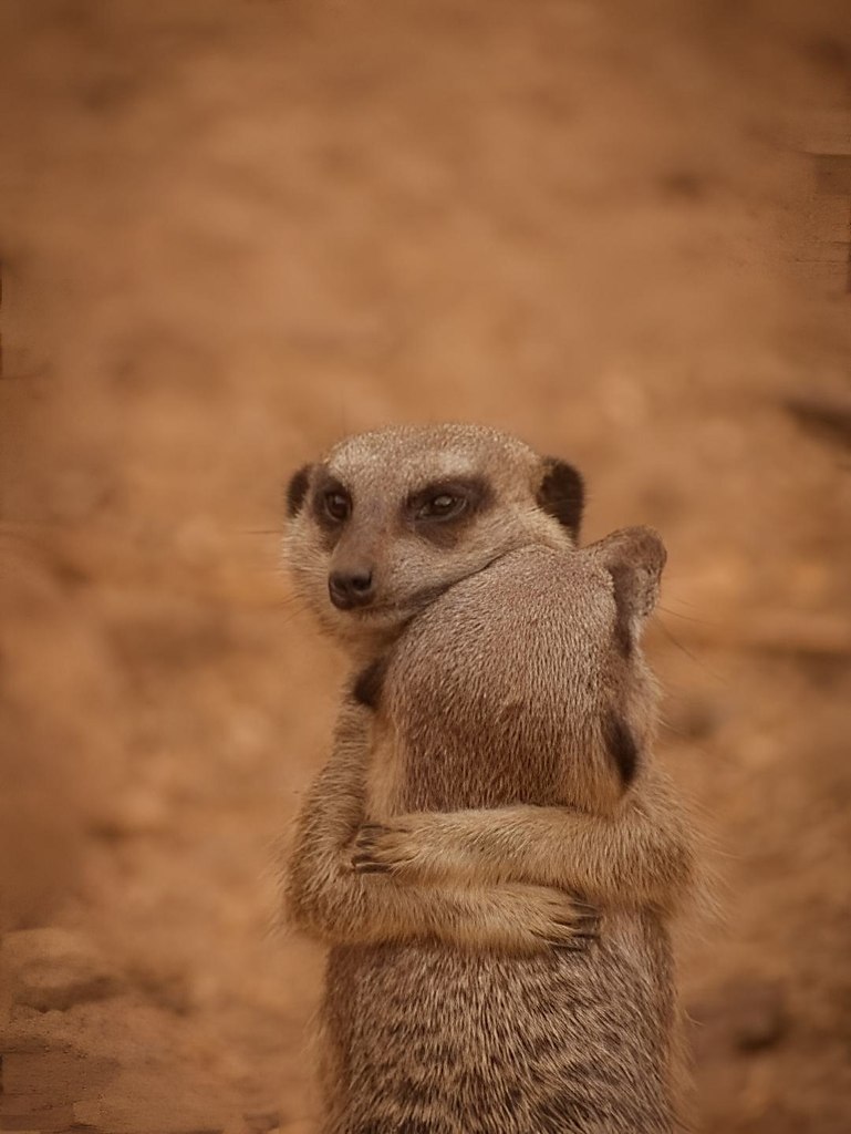    ,  ,      .  ... - 3