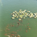 ���� ��������, ���������, 51 ��� - ��������� 8 ������� 2025