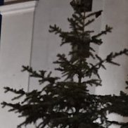 �������, , ������