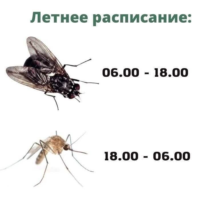 :) !  ! )))