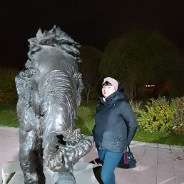 , , 43 