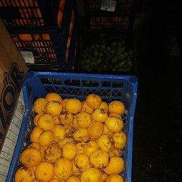 �����, ���������, 42 ����