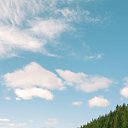  ,  , 50  -  28  2025