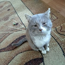 ���� ������ �������, ������ ��������, 53 ���� - ��������� 2 ����� 2024