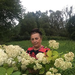 ���� ������, �����������, 69 ��� - ��������� 25 ������� 2023