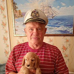 �������, ������, 66 ���