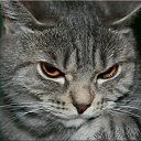 ���� �����, ������ �����, 34 ���� - ��������� 4 ���� 2025 � ������ ���� ����������