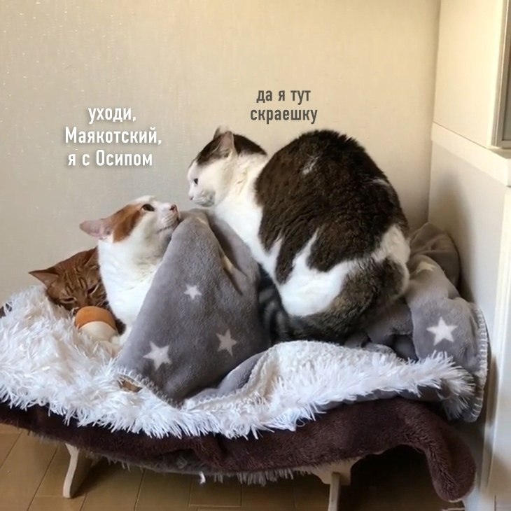 �� ��� ������) - 2