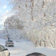 ������, 37 ���, �����-���������