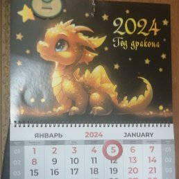 ���� ������., ������, 48 ��� - ��������� 18 ������� 2024